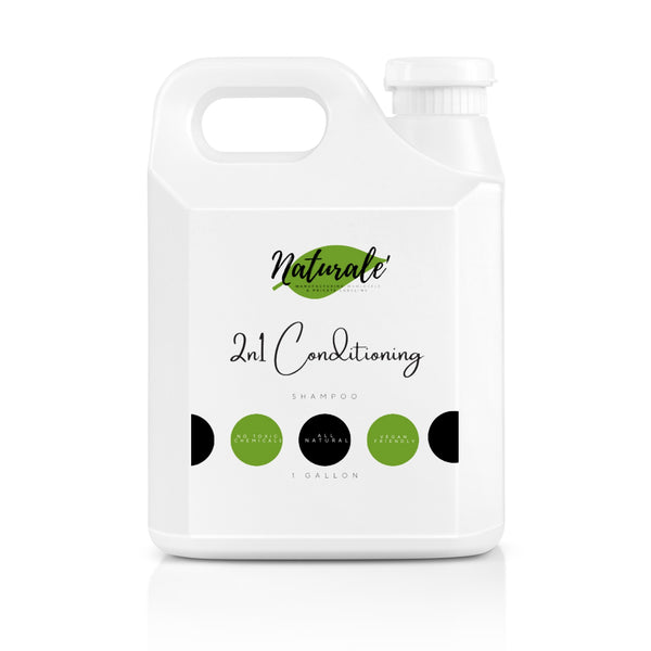 2 in 1 Conditioning Shampoo