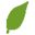 Naturale Manufacturing, Wholesale, & Private Labeling logo